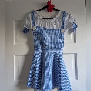 Complete Wizard Of Oz Dorothy Costume Large